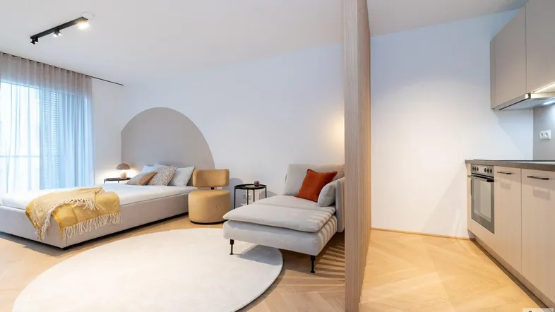Modernes Studio-Apartment mit Schlafbereich, Lounge und integrierter Küchenzeile, hell und offen gestaltet.