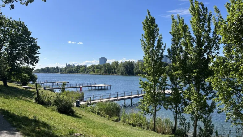 Blick auf einen See mit mehreren Holzstegen, umgeben von grünen Bäumen und einer fernen Stadtkulisse unter blauem Himmel.