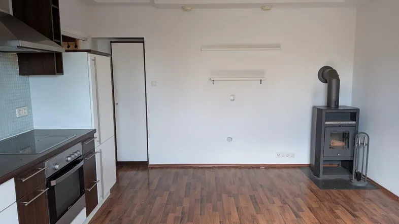 Offener Wohnbereich mit integrierter Küchenzeile, Holzboden und einem gemütlichen Kaminofen.