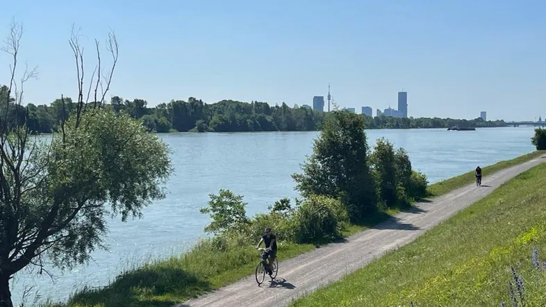 Blick auf den Fluss mit Radweg und Stadtpanorama im Hintergrund an einem sonnigen Tag.