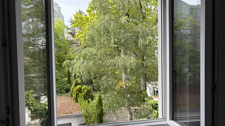 Blick aus dem Fenster auf einen begrünten Innenhof mit Bäumen und Garagen im Hintergrund.
