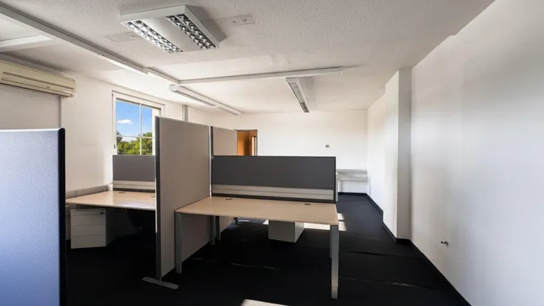 Geräumiges Büro mit Teppichboden, Schreibtischen und Trennwänden, gut beleuchtet durch Fenster.