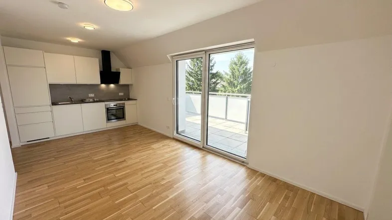 Heller offener Wohnbereich mit integrierter Küche, Parkettboden und Zugang zu einer Terrasse.