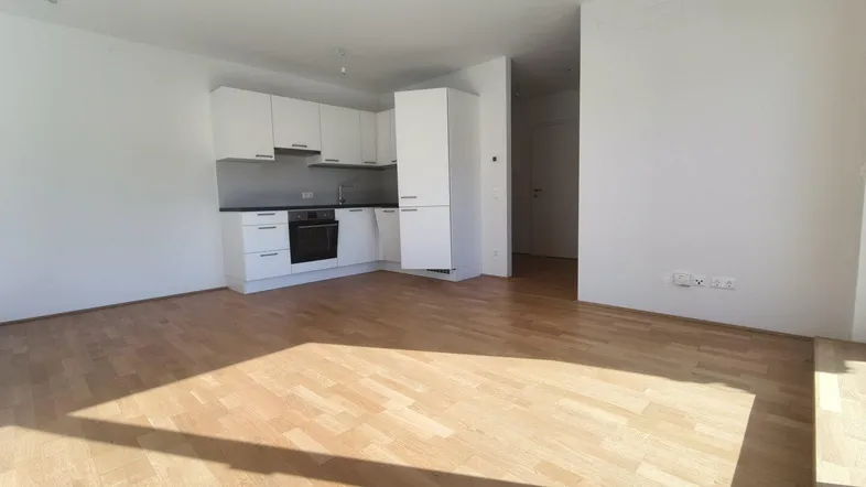 Heller offener Wohnbereich mit integrierter Küche und modernem Parkettboden, ideal für geselliges Beisammensein.