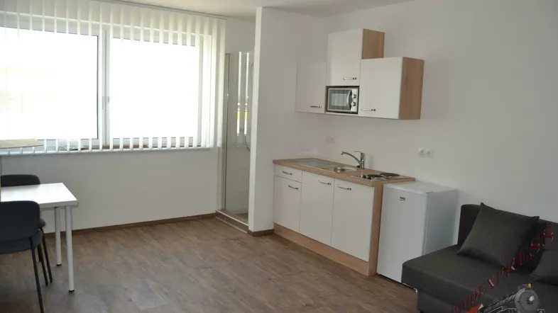Modernes Studio-Apartment mit integrierter Küchenzeile, Essbereich und Schlafsofa, hell durch großes Fenster.