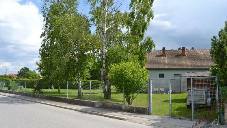 Grüner Vorgarten mit Rasenfläche, Bäumen und Zaun, der zum Haus führt.