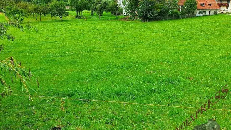 Weitläufige grüne Wiese mit Blick auf Häuser und bewaldete Berge in ländlicher Umgebung.
