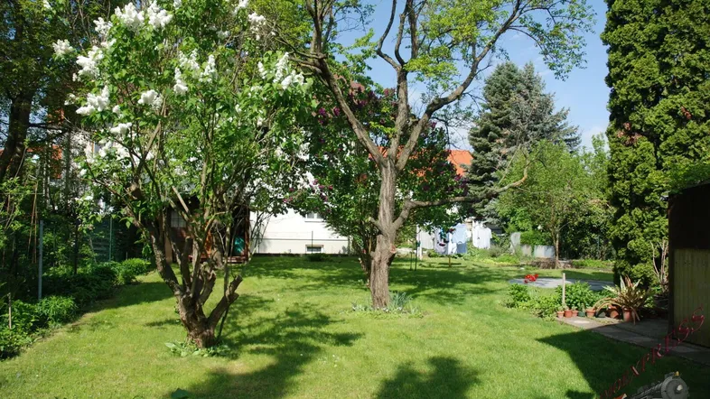 Floridsdorf, idyllisches Baugrundstück in U-Bahn Nähe und Ruhelage.