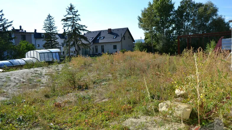 Überwachsenes Grundstück mit einem Haus im Hintergrund und einem kleinen Gewächshaus unter blauem Himmel.