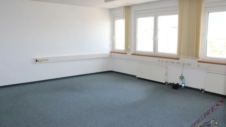 Heller, leerer Raum mit weiß gestrichenen Wänden, blau-grauem Teppichboden und mehreren großen Fenstern.