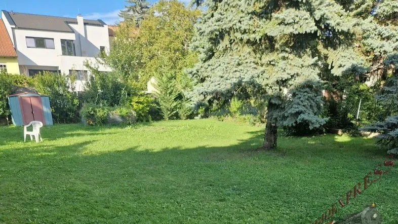 Großer Garten mit Rasenfläche, Nadelbäumen und einem Geräteschuppen im Hintergrund.