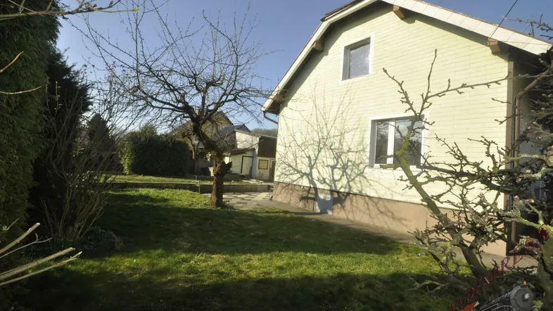 Bild1