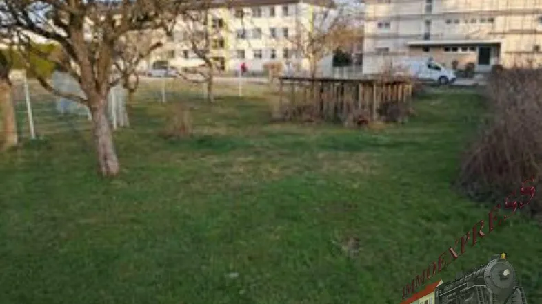 Weitläufige Grünfläche mit Obstbäumen und Blick auf umliegende Wohngebäude.