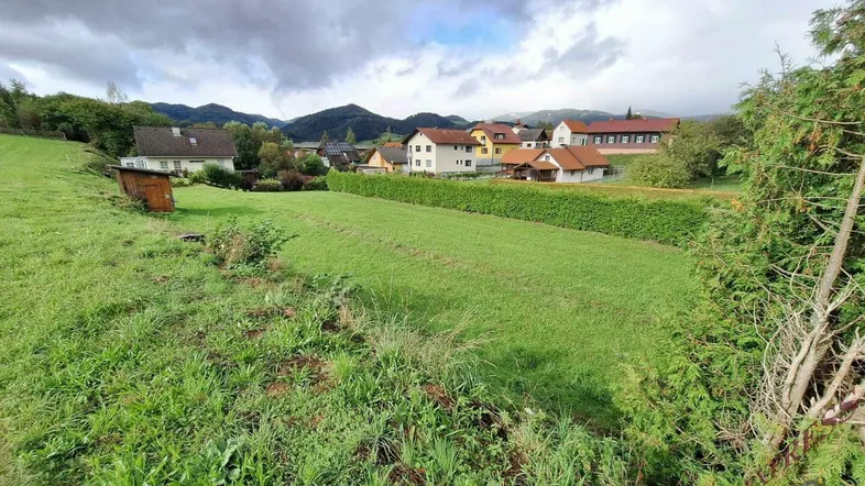 Weitläufiges Grundstück mit grüner Wiese, umgeben von Häusern und einer Hecke, mit Bergblick.