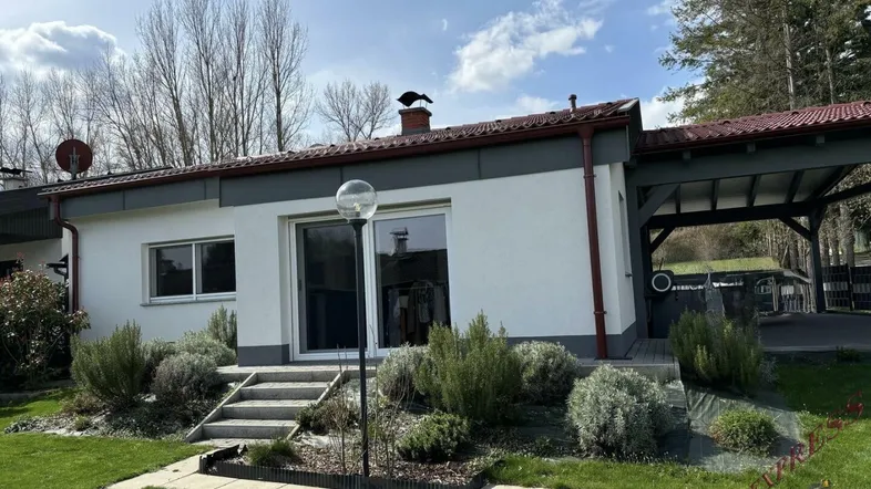 Modernes Einfamilienhaus mit weißer Fassade, gepflegtem Vorgarten und Carport im Hintergrund.