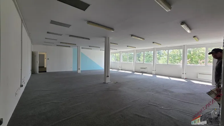 Großer, heller Büroraum mit Teppichboden, hohen Decken und vielen Fenstern mit Blick ins Grüne.