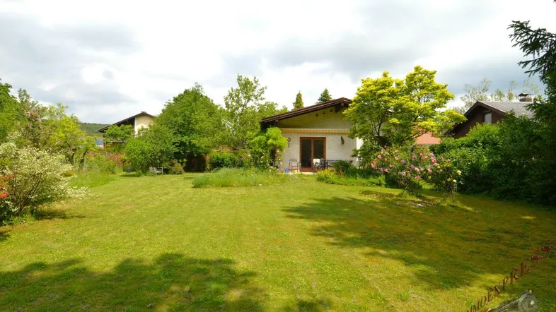 Weitläufiger Garten mit gepflegtem Rasen und blühenden Sträuchern vor einem Einfamilienhaus.
