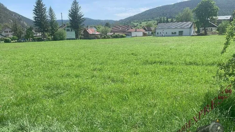 Weitläufige grüne Wiese mit Blick auf umliegende Häuser und bewaldete Berge unter blauem Himmel.