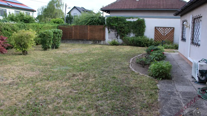 Gartenbereich mit Rasenfläche, Sträuchern und einem gepflasterten Weg neben dem Haus.
