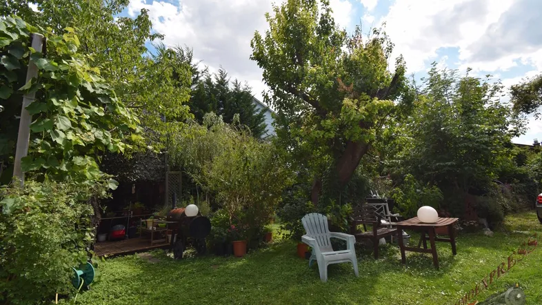 Grüner Garten mit üppiger Vegetation, Bäumen und einer gemütlichen Sitzecke im Freien.