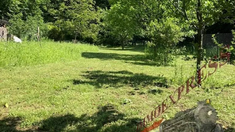 Weitläufige Grünfläche mit Bäumen und natürlicher Vegetation, ideal für einen Garten.