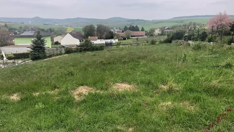 Grüne Wiese mit Blick auf die umliegende Landschaft und ein entferntes Schloss.