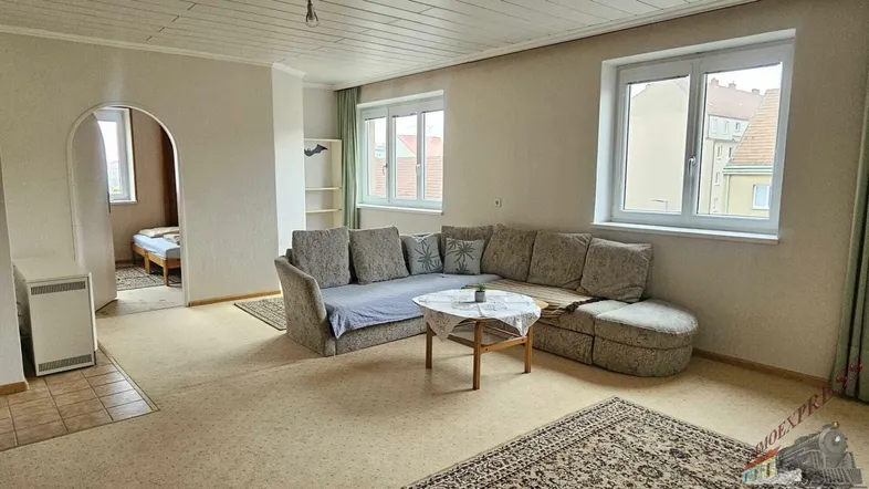 Geräumiges Wohnzimmer mit gemütlichem Sofa, Teppich und Blick auf die umliegenden Gebäude.