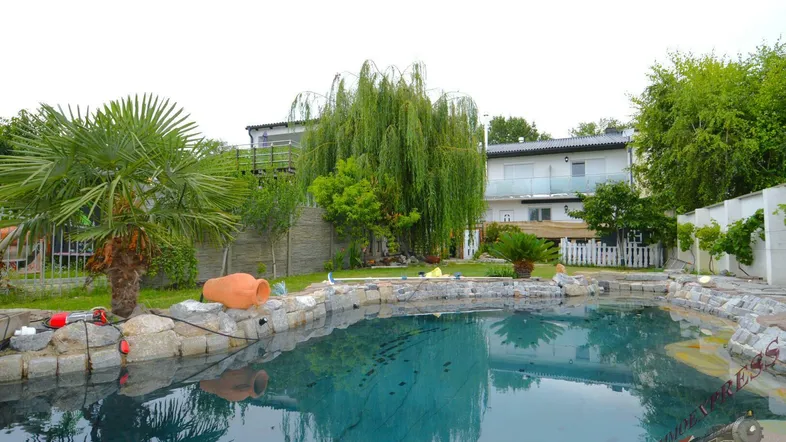 Großer Gartenbereich mit einem schönen Pool, umgeben von Palmen und einem Wohnhaus im Hintergrund.
