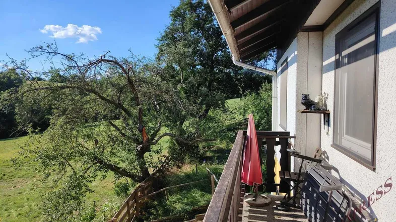 Balkon mit Holzboden und Geländer, bietet einen weiten Blick ins Grüne und auf Bäume.