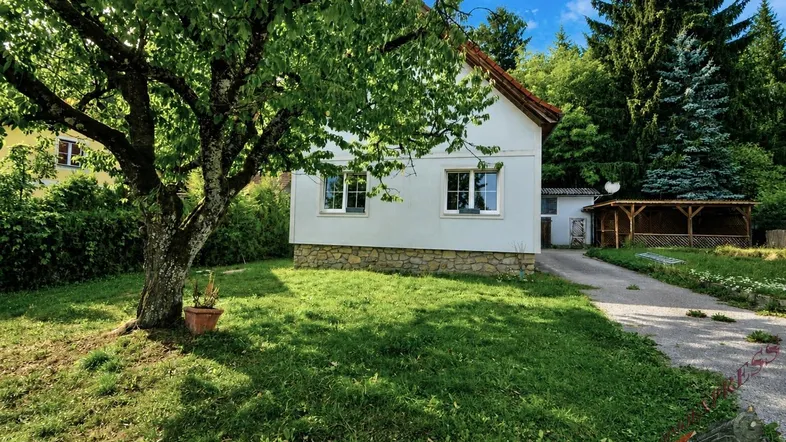 Weißes Haus mit rotem Dach, umgeben von einem grünen Garten mit altem Baum und einem Holzpavillon.