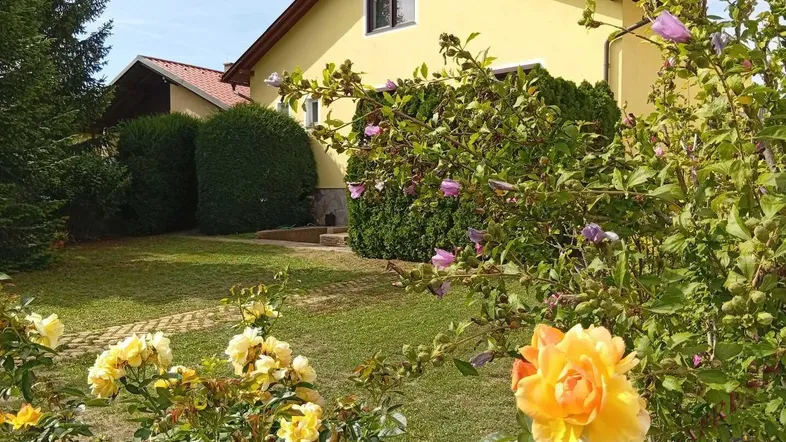 Gelbes Einfamilienhaus mit gepflegtem Vorgarten, blühenden Rosen und grüner Hecke im Sonnenschein.