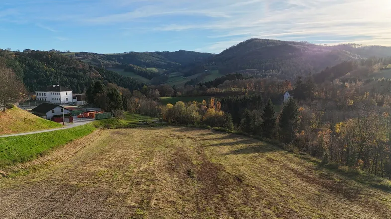Weitläufiges Feld mit malerischer Hügellandschaft und bewaldeten Hängen unter blauem Himmel.