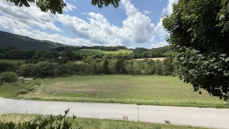 Weitläufiger Blick über grüne Felder und bewaldete Hügel unter blauem Himmel.