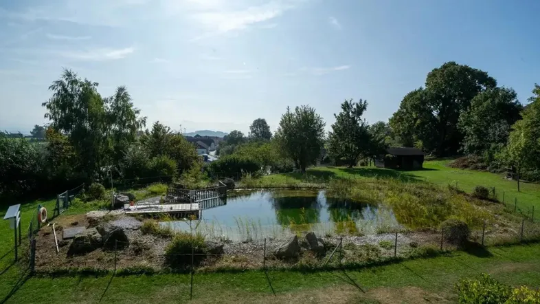 Großer Naturgarten mit Teich und viel Grünfläche, umgeben von Bäumen und ländlicher Umgebung.