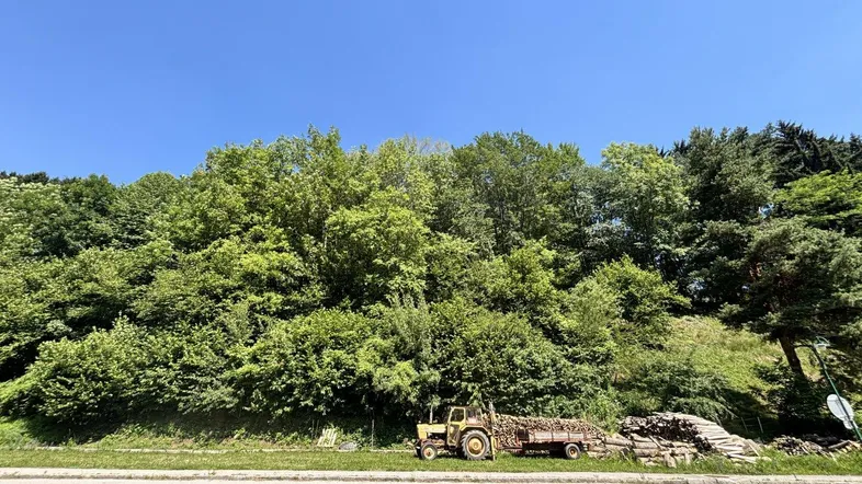 Außenansicht mit Straße, bewaldetem Hang und einem Traktor mit Holzstämmen.