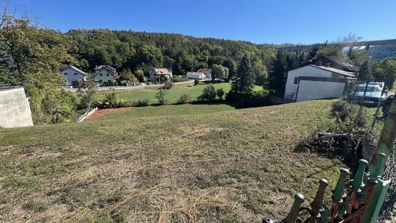 Blick über ein großes, sonniges Grundstück mit umliegender Natur und Häusern im Hintergrund.