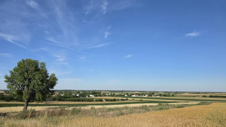 Weite Landschaft mit goldenen Feldern, einem einzelnen Baum und einem Dorf am Horizont unter blauem Himmel.