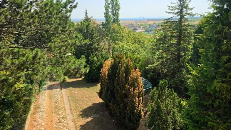 Weitläufiger Gartenbereich mit altem Baumbestand und Fernblick auf die Umgebung.