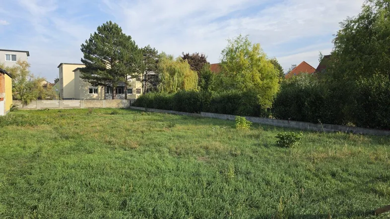 Weitläufiges Grundstück mit hohem Gras und umgebender Vegetation unter blauem Himmel.