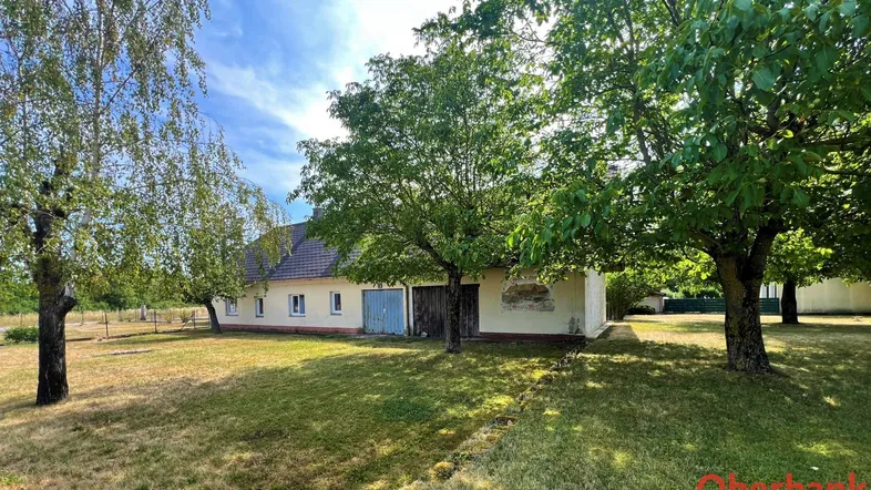 Ländliches Anwesen mit großem Garten und altem Baumbestand unter blauem Himmel.