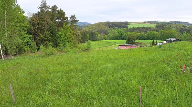 Weitläufige grüne Landschaft mit sanften Hügeln und vereinzelten Häusern in der Ferne.
