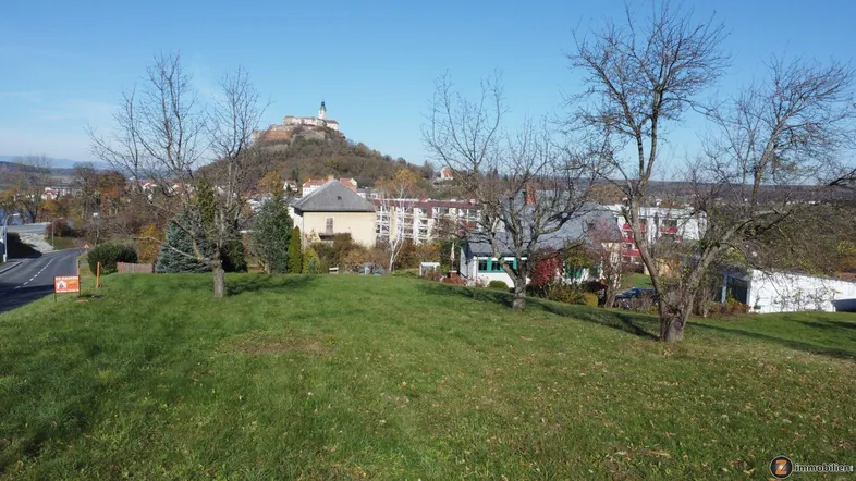 Grünfläche mit Bäumen und Panoramablick auf eine Stadt mit einer historischen Burg auf dem Hügel im Hintergrund.