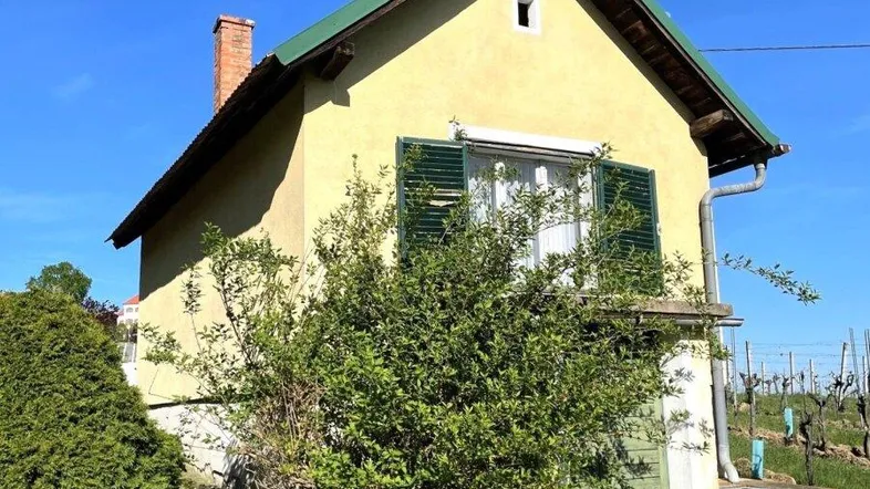 Seitenansicht des gelben Hauses mit Schornstein und grünen Büschen im Vordergrund, umgeben von Natur.
