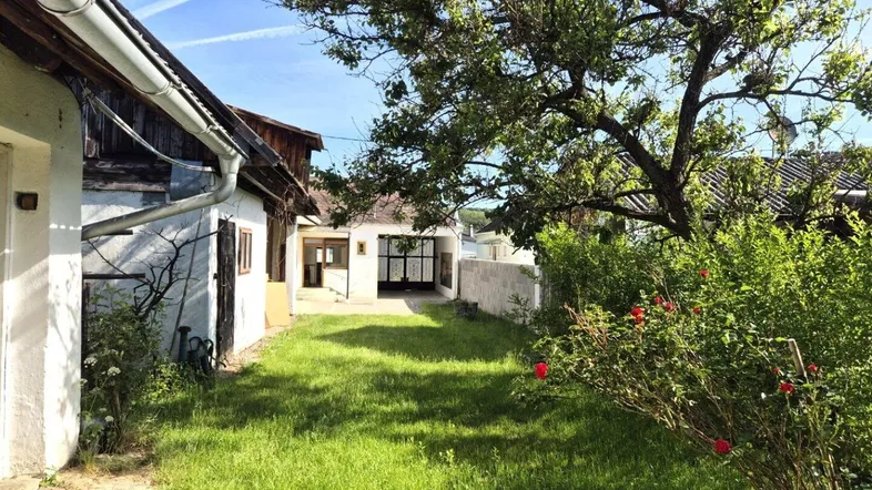 Grüner Gartenbereich mit Rasenfläche und Bäumen zwischen den Gebäuden an einem sonnigen Tag.