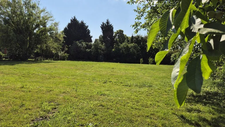 Weitläufige grüne Rasenfläche mit Bäumen im Hintergrund unter strahlend blauem Himmel.