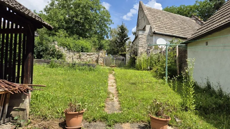 Ländlicher Gartenbereich mit altem Baumbestand und Blick auf historische Gebäude.