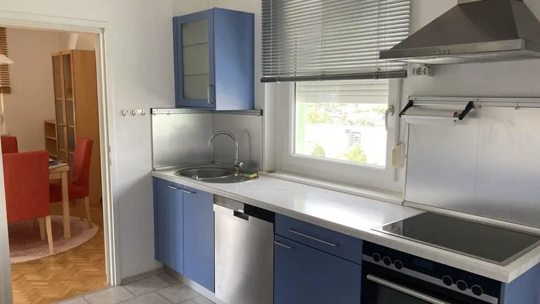 Moderne Küche mit blauen Schränken, Spülmaschine, Backofen und Induktionskochfeld, mit Blick nach draußen.