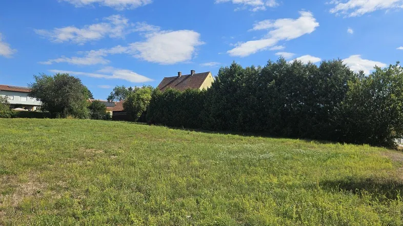Weitläufige grüne Wiese unter blauem Himmel mit einem Haus und Bäumen im Hintergrund.