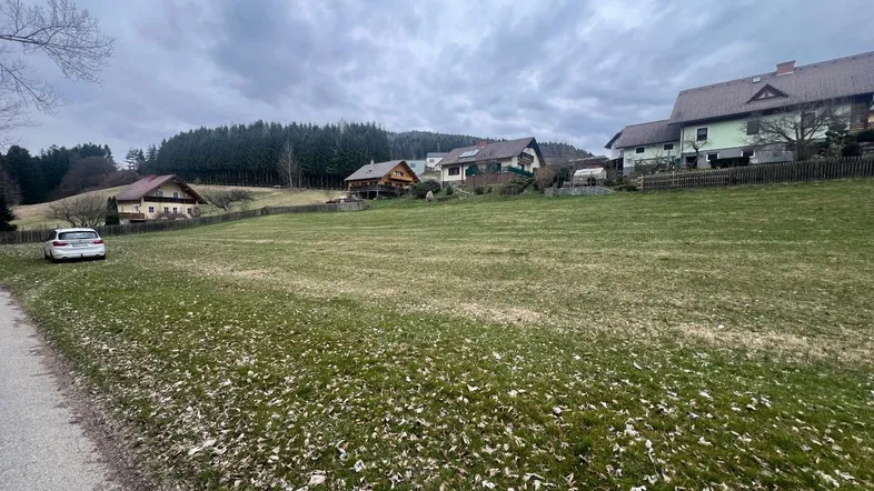 Weitläufiges grünes Grundstück mit Blick auf umliegende Häuser und Wald unter bewölktem Himmel.