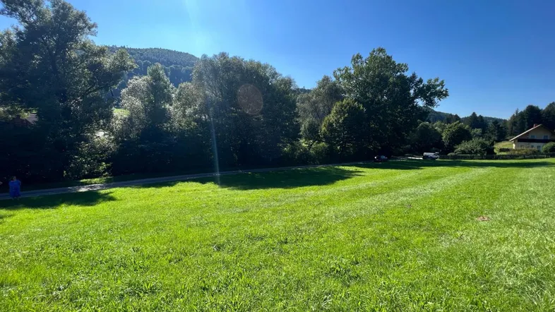 Weitläufige grüne Wiese unter strahlend blauem Himmel mit Bäumen und Hügeln im Hintergrund.